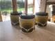 3 X Rare Orla Kiely 70's Flower Stem Ceramic Storage Jars. Check Out My Others