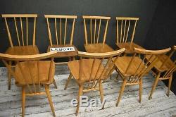 Ercol Chairs x 8 Blonde Vintage Model 391