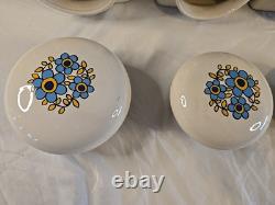 MCM Vintage Retro Taunton Vale Blue Flower Kitchen Storage Jar Canister Set