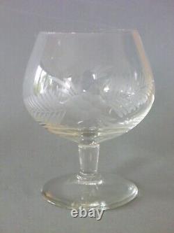 Retro MCM Drinking Glass Set 6 Highball & 6 Snifter Vintage Floral Fern Etch
