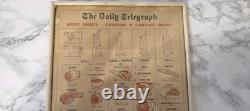 Retro Vintage Daily Telegraph Kitchen Poster Meat Guide