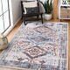 Stain Proof Traditional Area Rugs Vintage Oriental Carpet For Living Room 7661