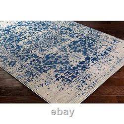 Surya Syracusa Vintage Rug Area Rugs Living Room, Hallway Floor, Kitchen