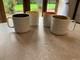 Ultra Rare Large Orla Kiely Raised Stem Coffee / Tea Mugs X 4. See My Others