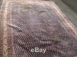 Very large antique vintage rug carpet wool 330x230cm royal mir sa-roug