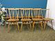 Vintage Ercol Dining Chairs, Blonde Retro All Purpose Chair Model 391. Northants