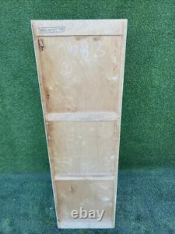 Vintage'Liden' Larder Cupboard Cabinet Pantry Laundry Storage Shelving Wardrobe