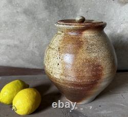 Vintage Nic Collins Studio Pottery Canister with Lid Powdermills Dartmoor