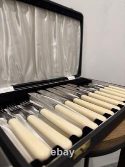 Vintage/Retro 12-Piece Cutlery Set Cream Handles Knives & Forks in Case