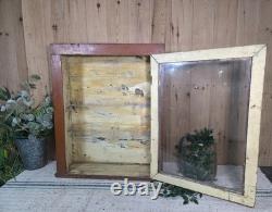 Vintage Rustic Indian Wooden Glazed Shop Display Bathroom Kitchen Wall Cabinet