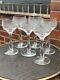 Vintage Stuart Crystal Arundel Hock Wine Glasses X 6