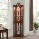 Wooden Curio Lighted Corner Cabinet Withdoors & Adjustable Tempered Glass Shelves