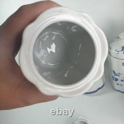 Bocaux de rangement de cuisine du milieu du siècle, motif oignon bleu allemand des années 1950, style Meissen