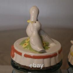 Ensemble de 2 couvercles de canard vintage avec bocaux + bouchons, décoration de cuisine et rangement en oie