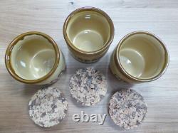 Ensemble de 4 bocaux de rangement en grès vintage T. G. Green Granville