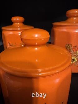 Ensemble de 4 canisters en aluminium Kromex fleurs décor rétro des années 1970 orange