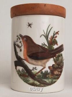 Ensemble vintage de 5 bocaux de rangement Portmeirion Oiseaux de Grande-Bretagne