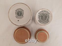 Ensemble vintage de 5 bocaux de rangement Portmeirion Oiseaux de Grande-Bretagne