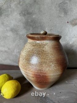 Pot à épices vintage Nic Collins en céramique de studio avec couvercle Powdermills Dartmoor